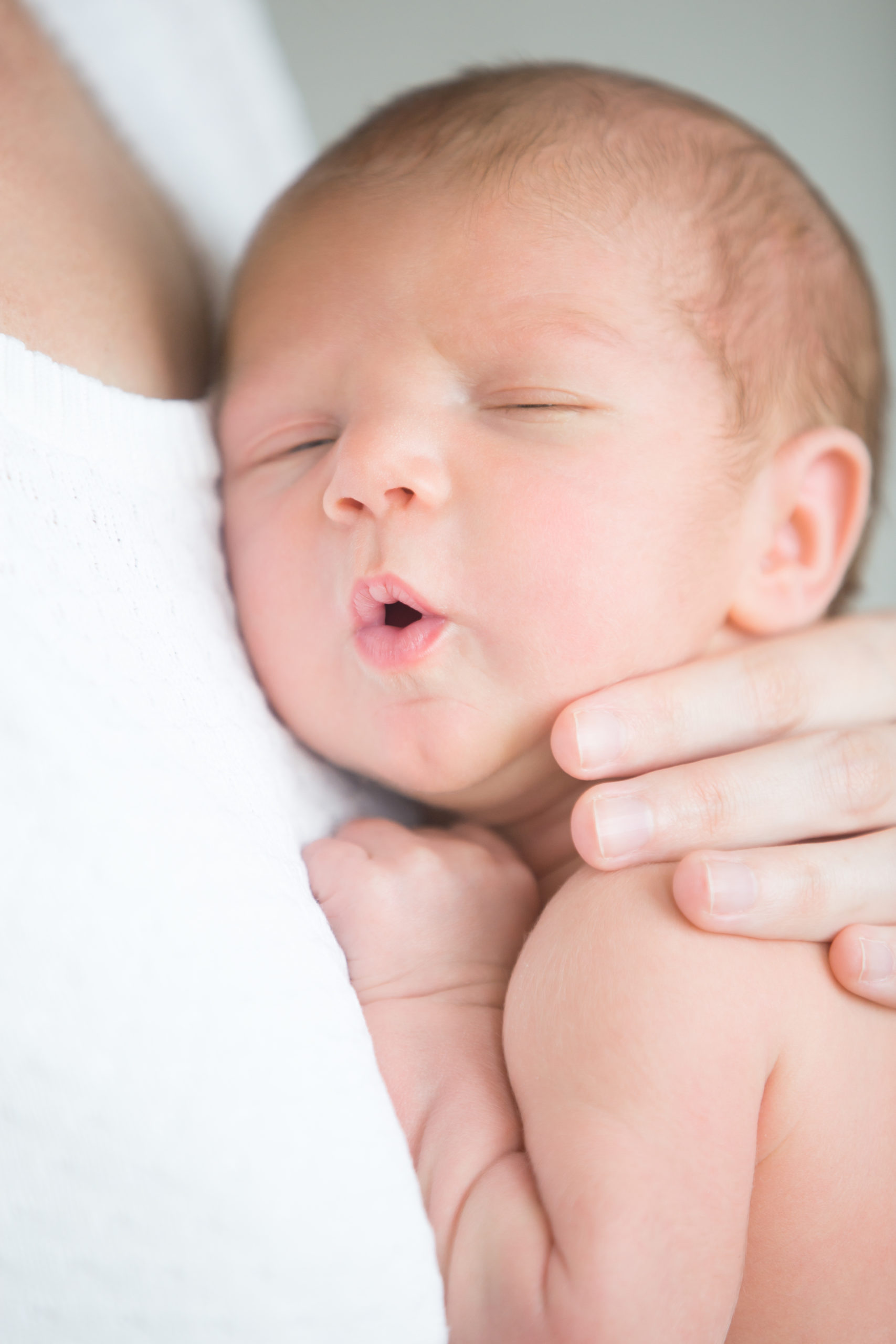 Portrait of a cute newborn hold at mother s breast